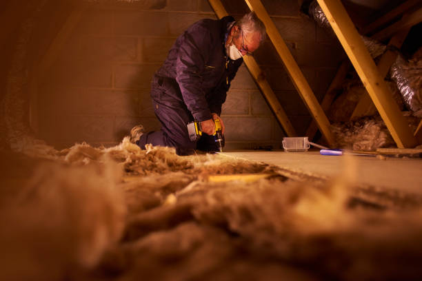 Best Commercial Insulation Services  in Argentine, MI